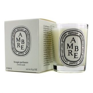 DIPTYQUE SCENTED CANDLE - AMBRE (AMBER)  190G/6.5OZ