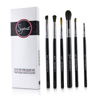 SIGMA BEAUTY SPOT ON CONCEALER KIT PROFESSIONAL BRUSH COLLECTION  6PCS